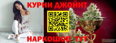 спайс Кингисепп
