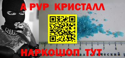 спайс Кингисепп