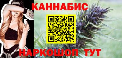 спайс Кингисепп