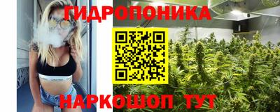спайс Кингисепп