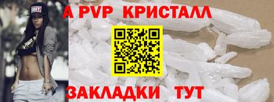 спайс Кингисепп