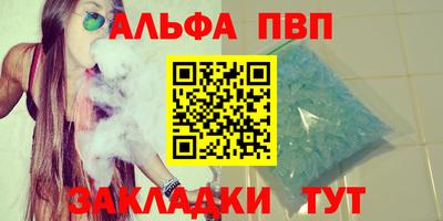 спайс Кингисепп