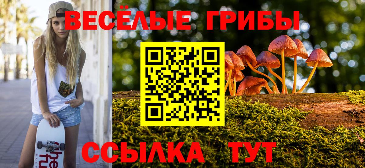 Псилоцибиновые грибы мицелий  Псилоцибиновые грибы Psilocybe  Вход с VPN  Ковров 